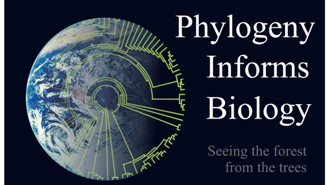 2008 PBI Poster