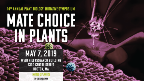 2019 PBI Poster