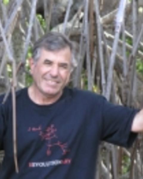 del-tredici.jpg