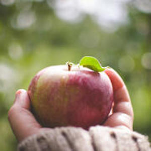 Pomme by Kristina Servant